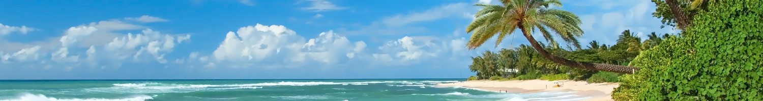 Primary Care in Paradise 2026 Banner